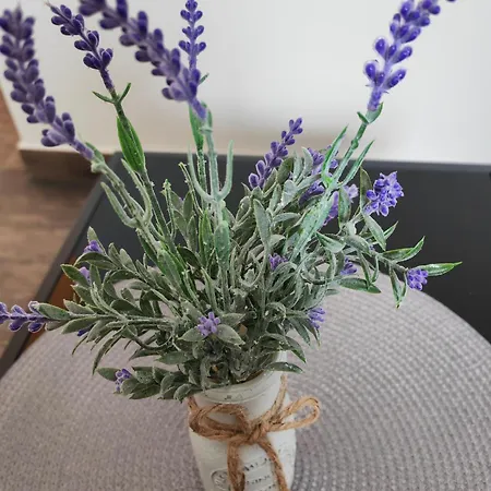 La Bombonera Apartman