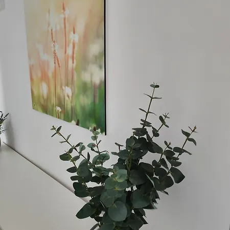 La Bombonera Apartmán Starigrad Paklenica